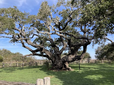 Goose Island State Park campground