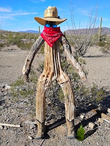 Darby Wells Rd Dispersed - Ajo, Arizona