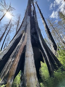 Alder Flat - Estacada, Oregon campground