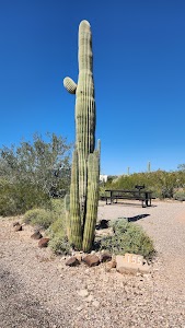 Twin Peaks Campground - Ajo, Arizona campground