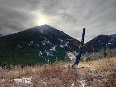 Rattin - Red Lodge, Montana campground