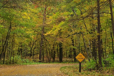 Wild River State Park - Center City, Minnesota campground