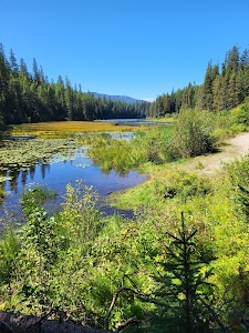 Loon Lake - Troy, Montana campground