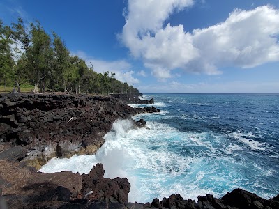 MacKenzie State Rec Area - Hawaii - Pāhoa, Hawaii
