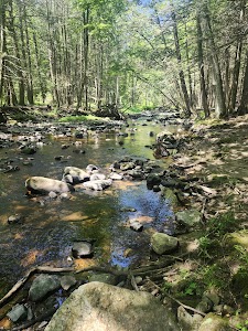 Mashamoquet Brook State Park - Pomfret, Connecticut
