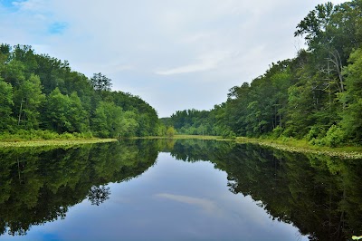 Cedarville State Forest campground