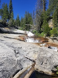 Whiskers - Bass Lake, California campground