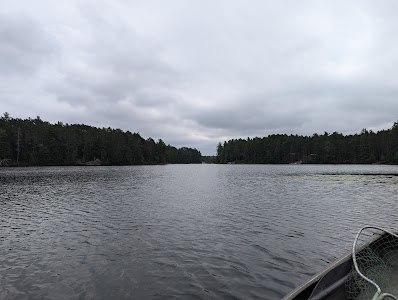 Perch Lake - State Forest - Newberry, Michigan campground