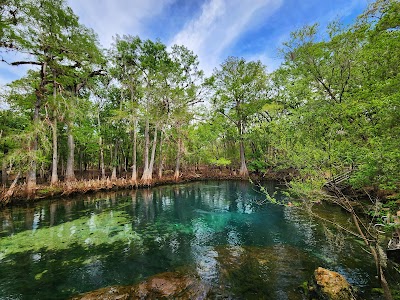 Manatee Springs State Park - Chiefland, Florida campground