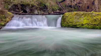 Salmon Creek Falls - Oakridge, Oregon campground
