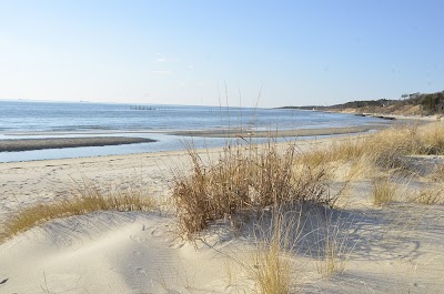 Kiptopeke State Park - Cape Charles, Virginia campground