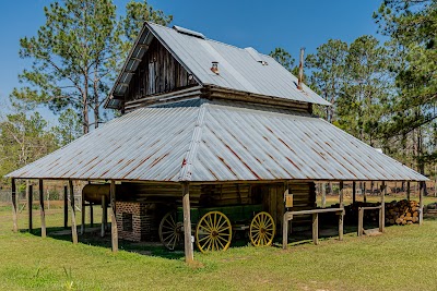 General Coffee State Park - Nicholls, Georgia campground
