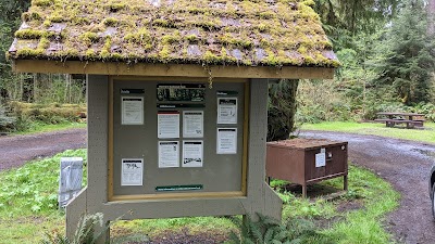 North Creek - State Forest - Oakville, Washington campground