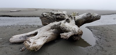 Kalaloch - Olympic National Park - Forks, Washington campground