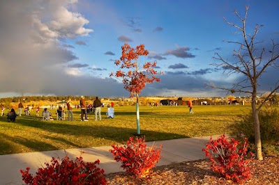 Equestrian - Lone Pine, California campground
