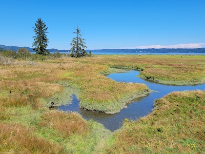 Dosewallips - Brinnon, Washington campground