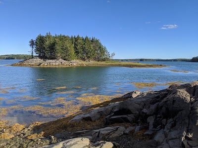 Cobscook Bay State Park - Dennysville, Maine campground