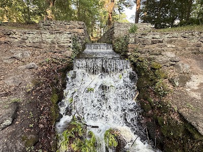Poinsett State Park - campground, South Carolina