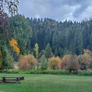 Shadowy St. Joe - St Maries, Idaho campground