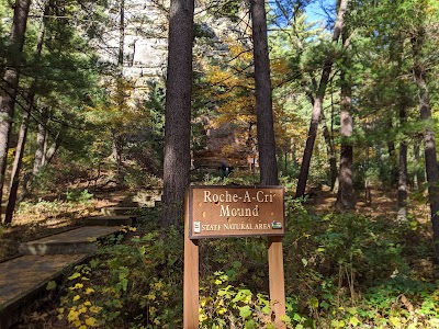 Roche-A-Cri State Park - Friendship, Wisconsin