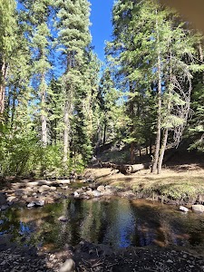 Plum Valley - Davis Creek, California campground