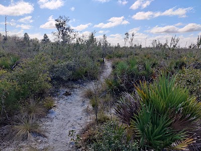 Arbuckle - Lake Wales Ridge SF - Frostproof, Florida