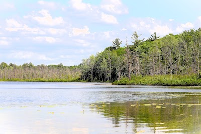 Spring Lake - State Forest - Fife Lake, Michigan campground