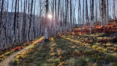 Corral Pass - Enumclaw, Washington campground