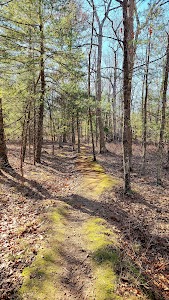 Cathedral Pines County Park campground