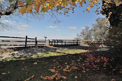 Chippokes Plantation State Park - Surry, Virginia