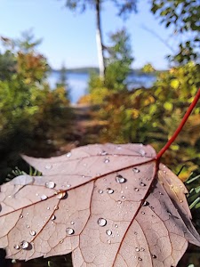 Pfeiffer Lake - Cook, Minnesota campground