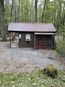 Greenbrier State Forest - Caldwell, West Virginia