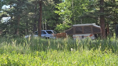 Meadow Ridge - Woodland Park, Colorado campground