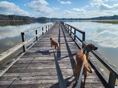 Lake Tom Bailey - Toomsuba, Mississippi campground