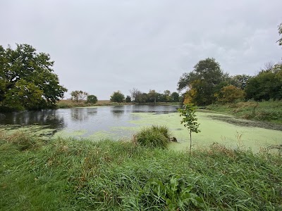 Stoehr Fishing Area - Grundy Center, Iowa campground