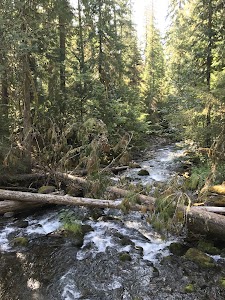 Shellrock Creek - Estacada, Oregon campground
