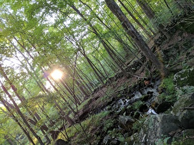 Blue Mountain Reservation - Cortlandt, New York campground