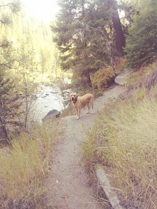 Norton - Clinton, Montana campground