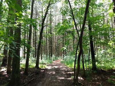 Hidden Springs State Forest - Strasburg, Illinois campground
