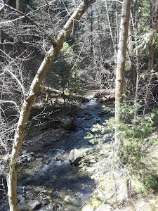 North Fork Beegum Creek F - Platina, California campground