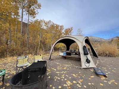 Four Jeffery - Bishop, California campground