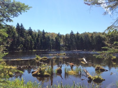 Woodford State Park campground