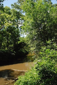 Pecatonica River Forest Preserve - Pecatonica, Illinois campground