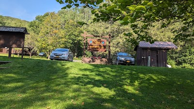 Bear Spring Mountain - DEC - Downsville, New York campground