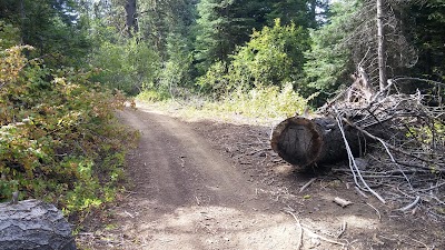 Cartwright Ridge - Ola, Idaho campground