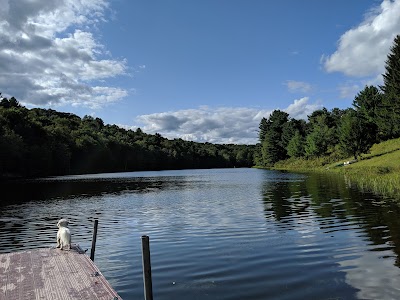 Mountaindale Park - Mountain Dale, New York campground