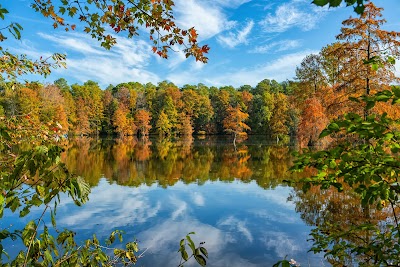 Trap Pond State Park - Laurel, Delaware
