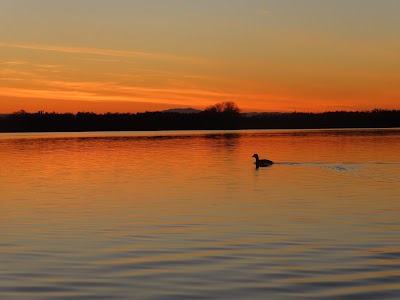 Wiest Lake - Brawley, California campground