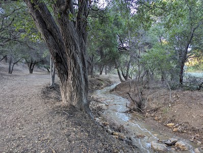 Aliso Park - New Cuyama, California campground