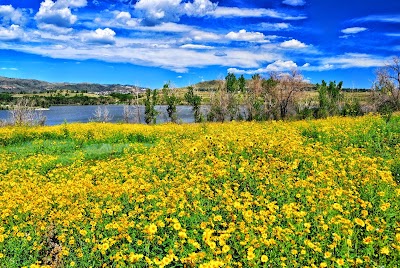 Bear Creek Lake Park - Denver, Colorado campground